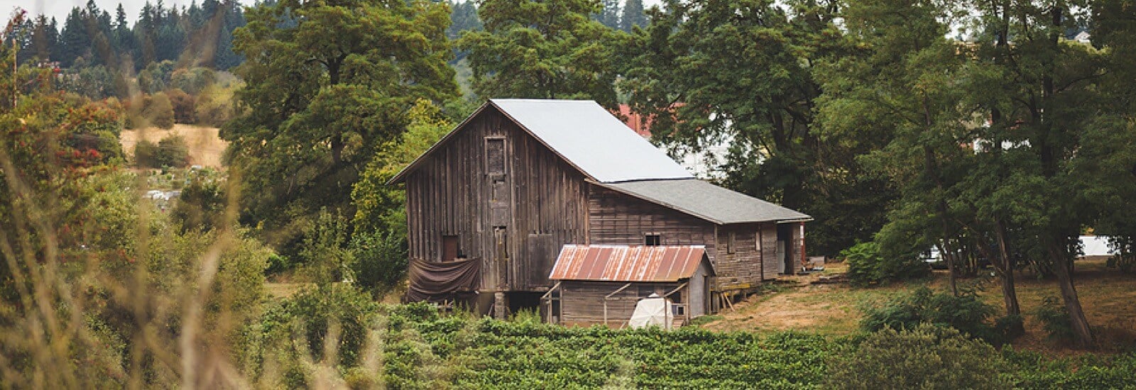 Vintage-Farm-in-Lake-Oswego-OR