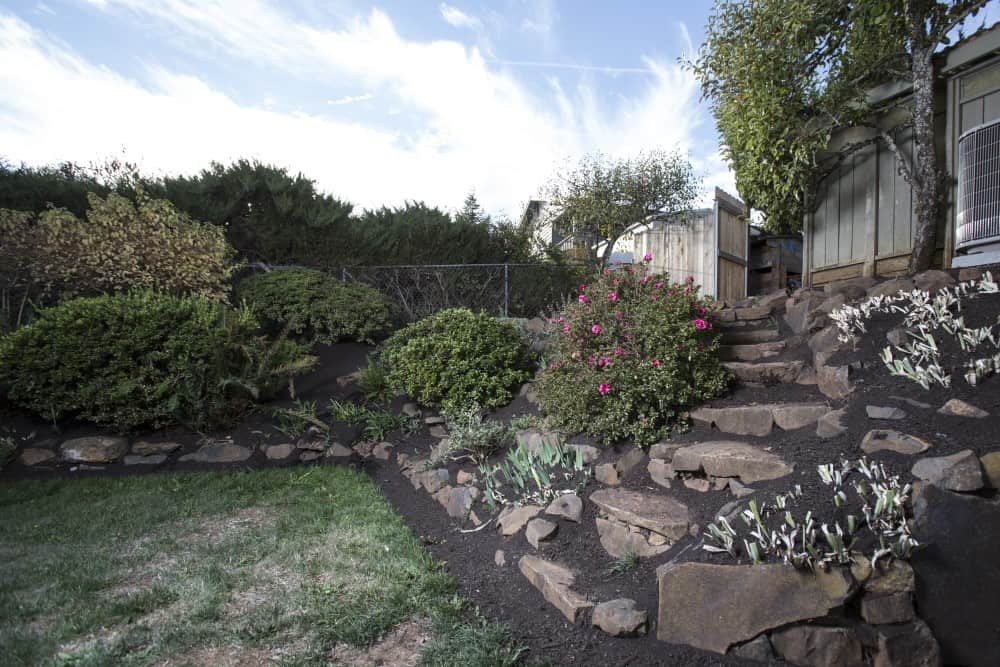 Mid-Century Outdoor Sanctuary terrace