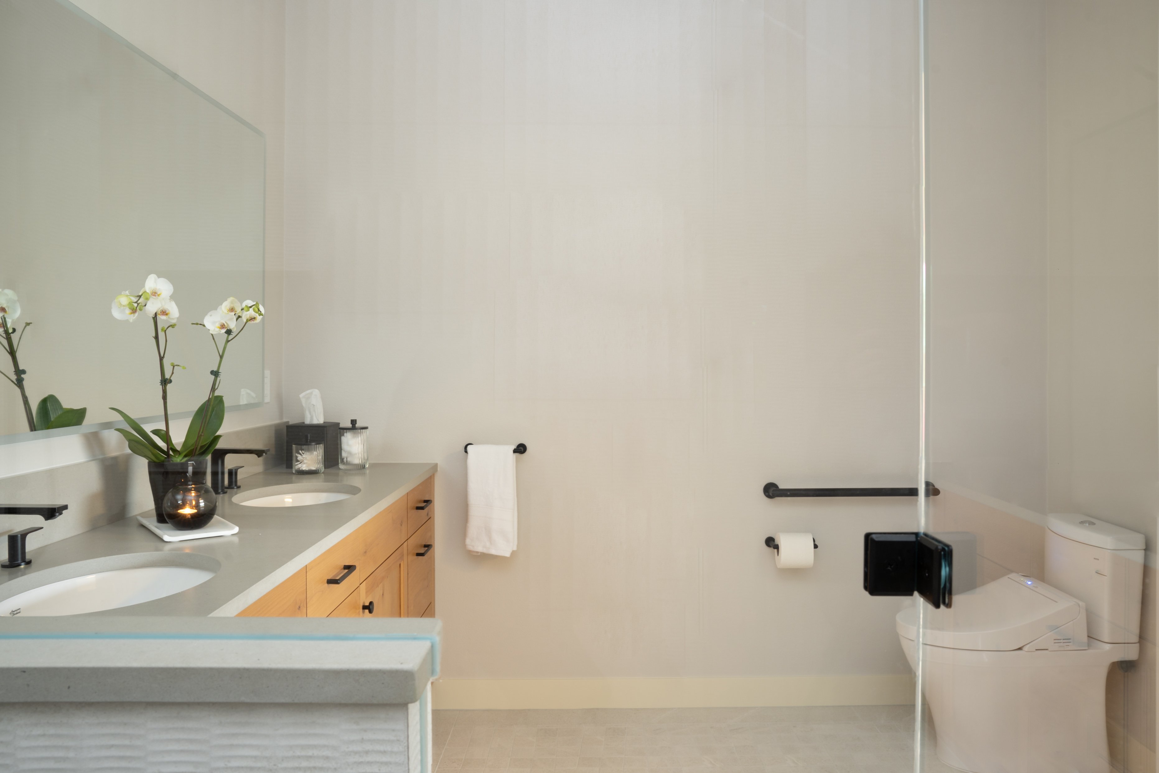 Bathroom Vanity and Toilet