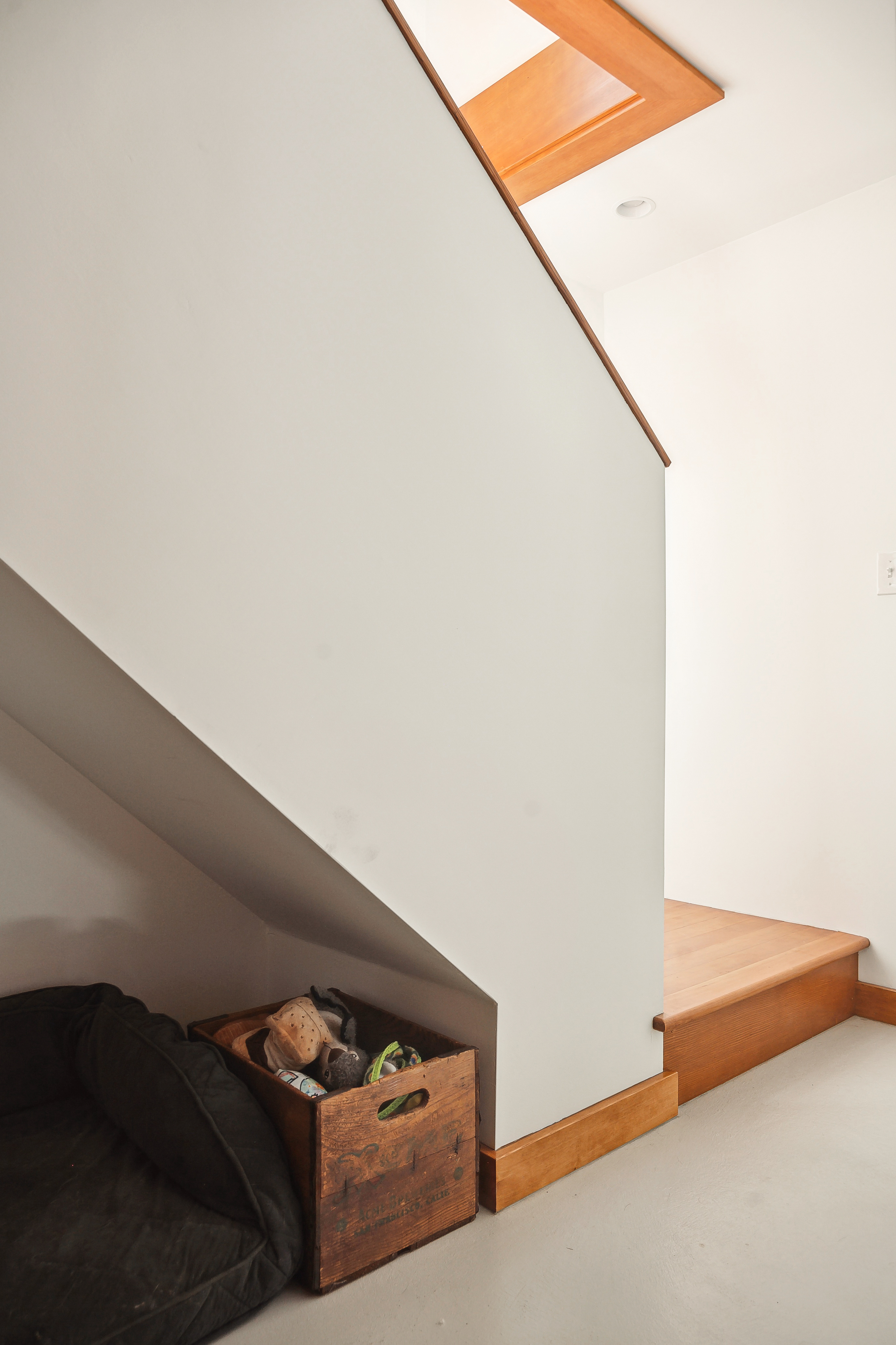 Custom Stairwell Doggy Room